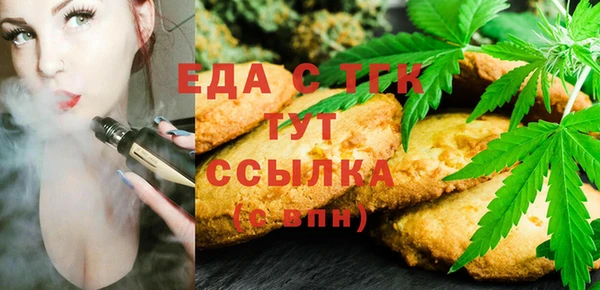 индика Армянск