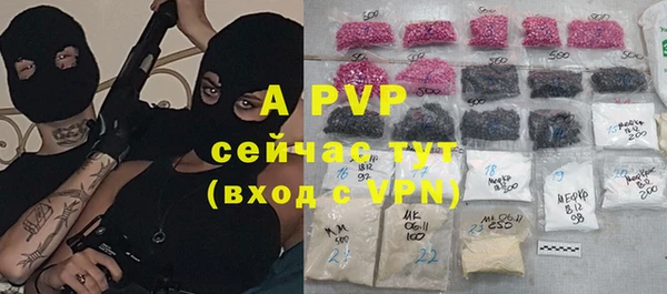индика Армянск