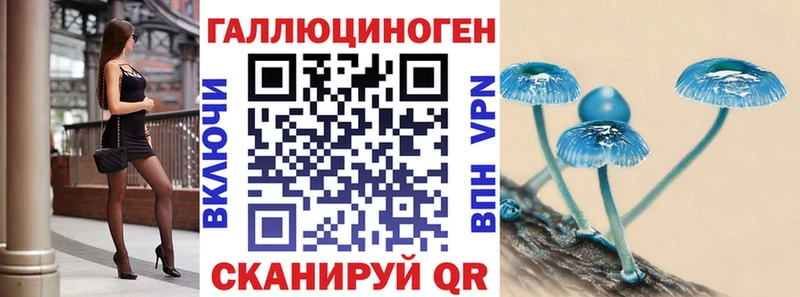 Купить где  Суджа  Псилоцибиновые грибы прущие грибы 