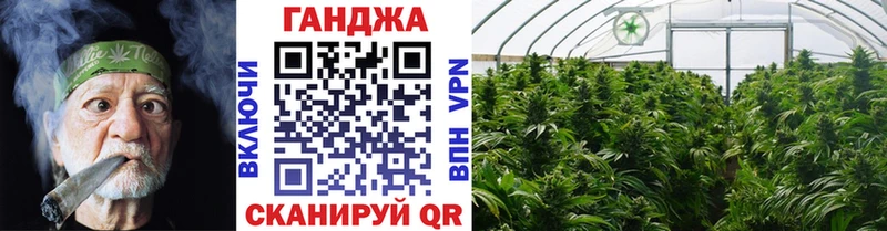 Купить закладки  Суджа  Шишки марихуана White Widow 
