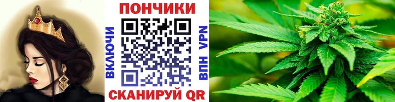 Канабис гибрид Суджа